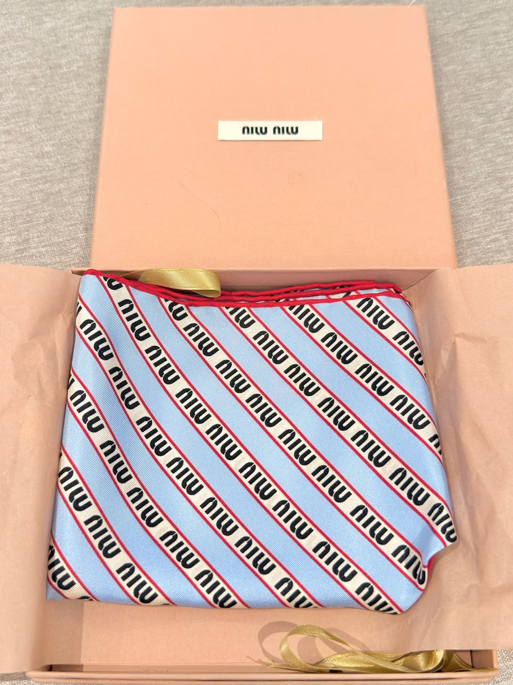 Miu Miu Light Blue Silk Logo-Striped Pouch with Red Trim